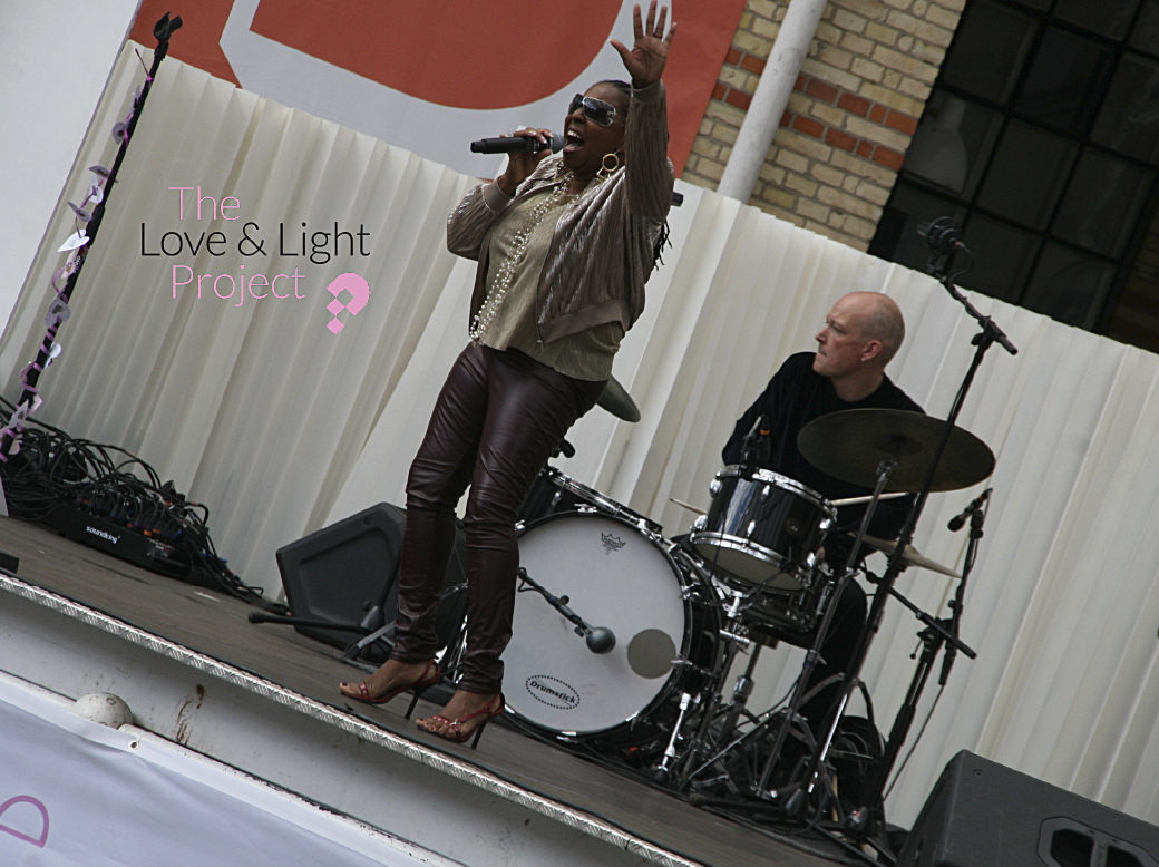 Insamling av medel år 2016